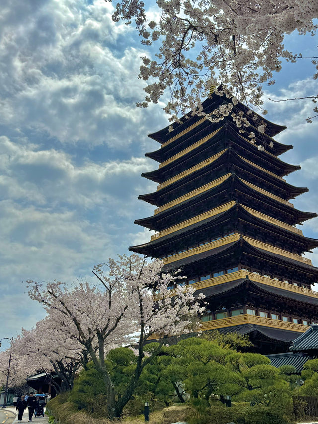 🌸 경주 여행