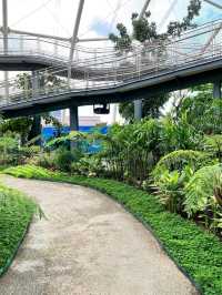 Urban Jungle: Exploring the Philippine Biodome