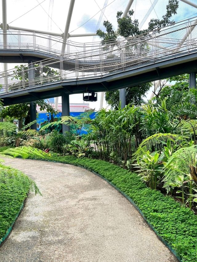 Urban Jungle: Exploring the Philippine Biodome