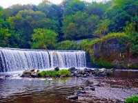 Reddish Vale Country Park – Nature on the Edge of the City