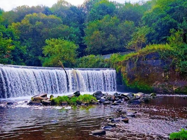 Reddish Vale Country Park – Nature on the Edge of the City Reddish Vale Country Park – Nature on the Edge of the City