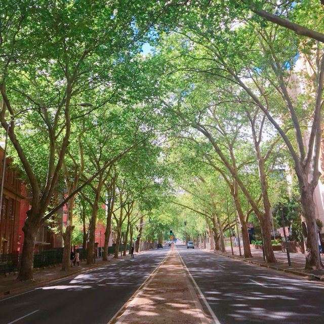 素敵な都市アデレード🇦🇺