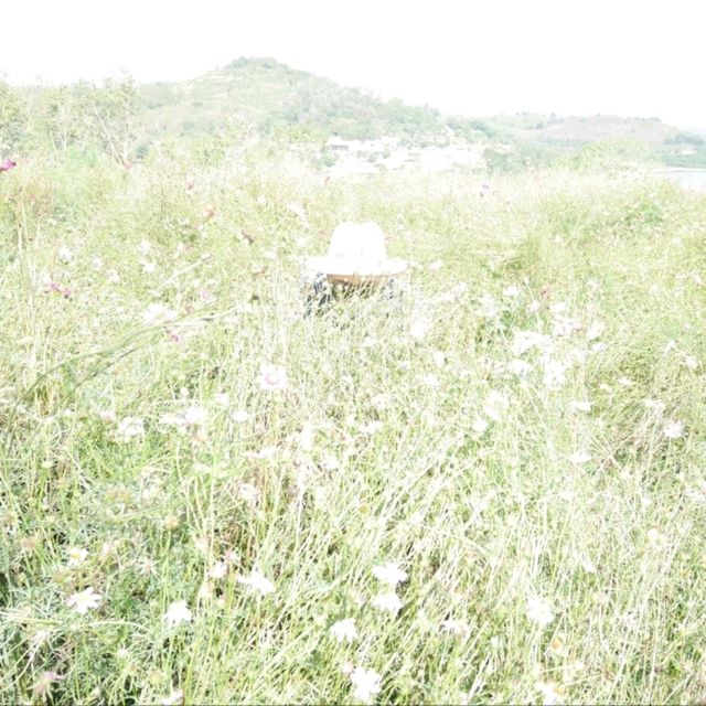 สวนละไม จ.ระยอง