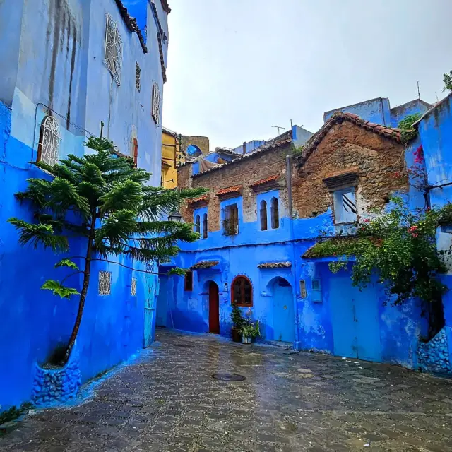 Into the Blue: My Solo Escape to Chefchaouen