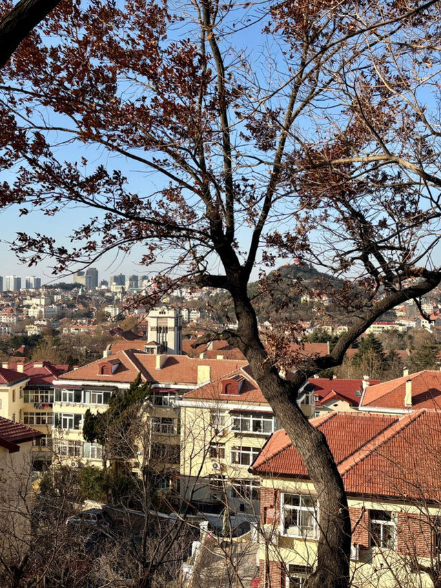 🌄 소어산 공원🌄