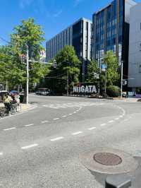 新潟 無法形容的美麗城市