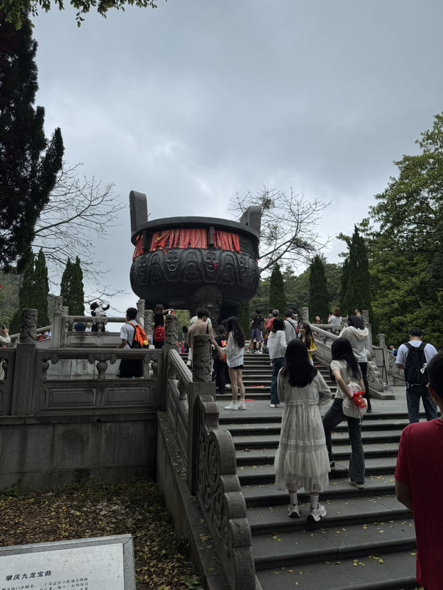 感受神級養肺之旅，在鼎湖深呼吸