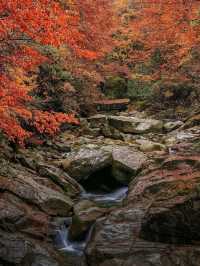🍂 Guangwu Mountain – The Autumn Paradise of Sichuan 🍂