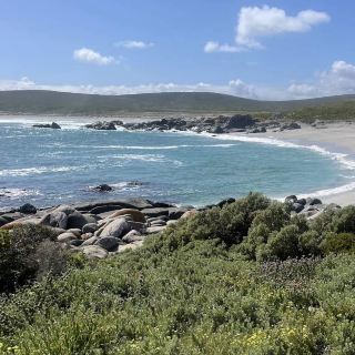 West Coast National Park – Where Land, Lagoon, and Wildlife Meet
