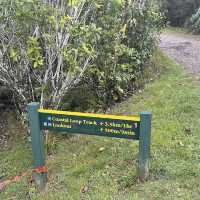 Cullen Point Lookout – Pelorus & Mahau Sound Panorama