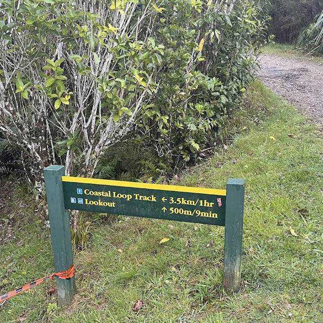 Cullen Point Lookout – Pelorus & Mahau Sound Panorama