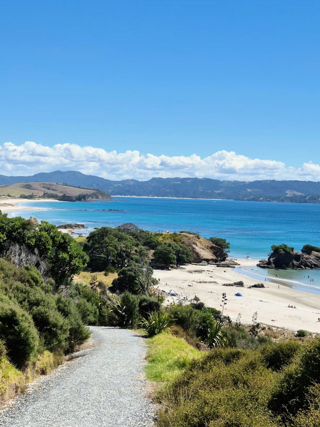 Revolving Around the Beauty of Nature: Trails – New Zealand 