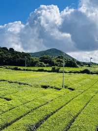 An Educational and Tranquil Experience