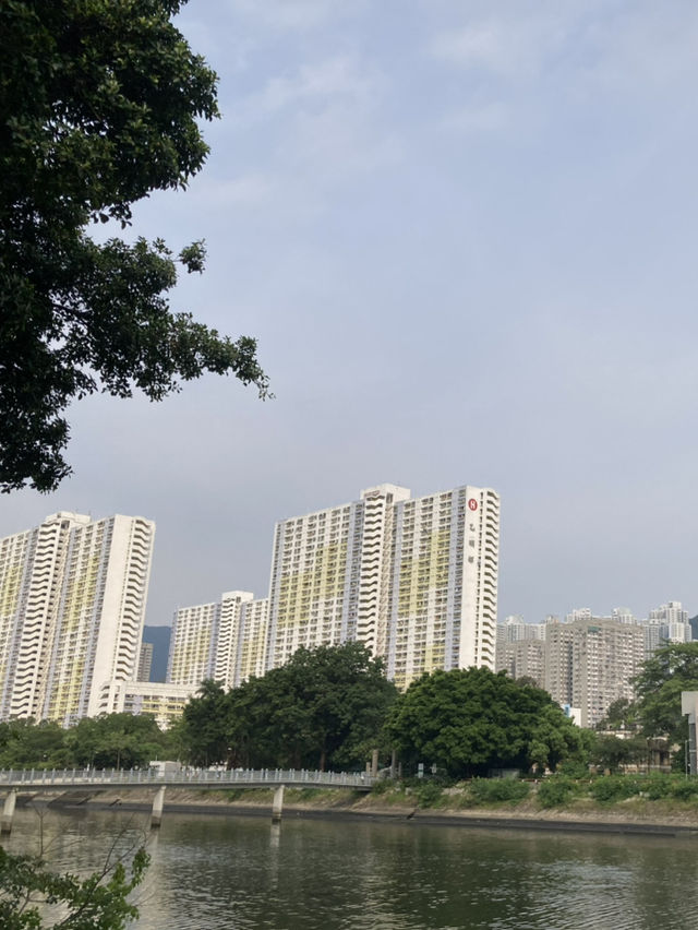 深水埗地區的一些故事 