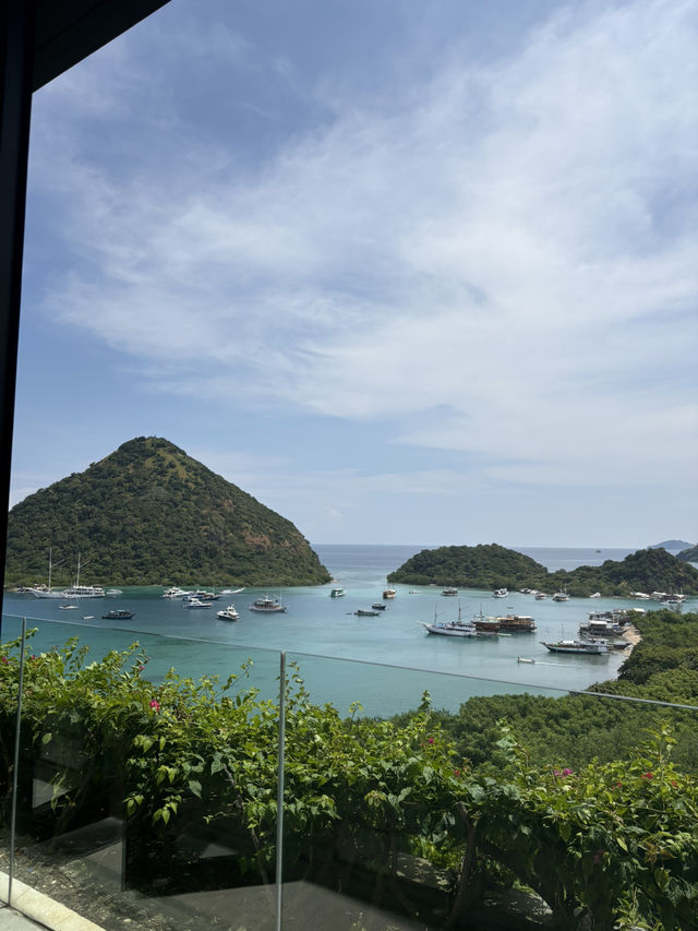 コモド島旅行 AYANA komodoにステイ🪸