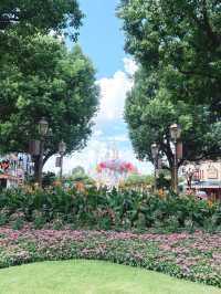 乗り物乗り放題スケールがすごい上海ディズニー🎠
