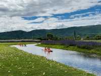 《候鳥灣生態公園：湖光山色裡的自在小憩》