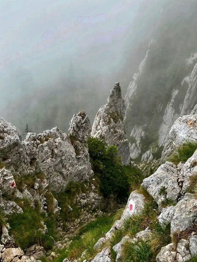 🏞️ Piatra Craiului National Park – Nature’s Majestic Playground