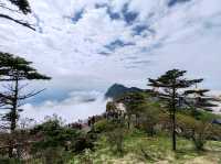 The Sea of Clouds at the Golden Summit: Emei, a Fairyland on Earth