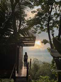 峇里島秘境竹屋住體驗🌿｜睡在原始森林看日出