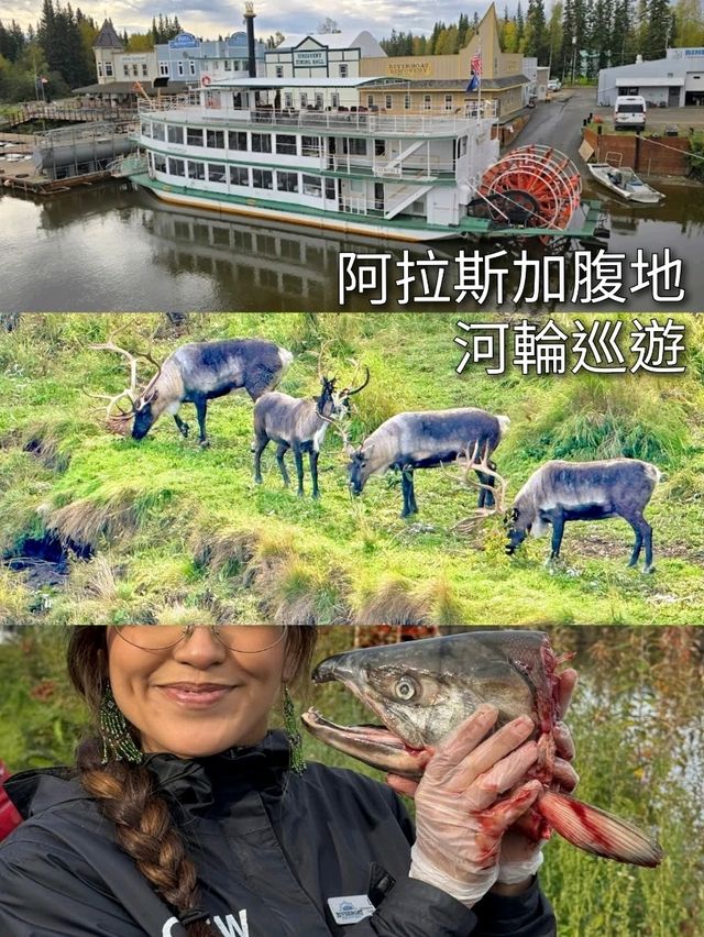 阿拉斯加腹地河輪巡遊