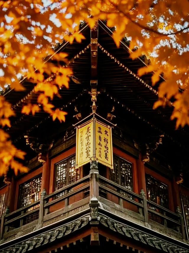 仙台🇯🇵城市樣貌
