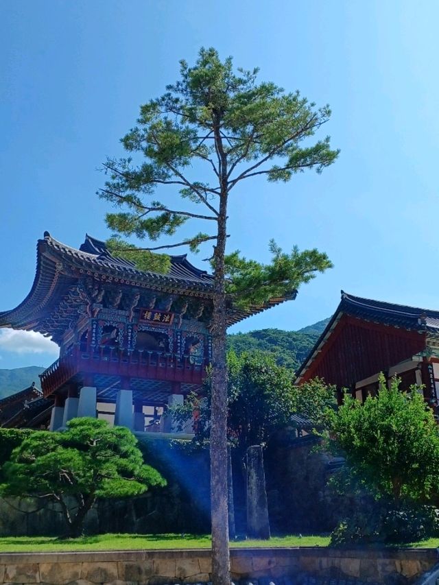 고즈넉한 산사의 평화, 화엄사