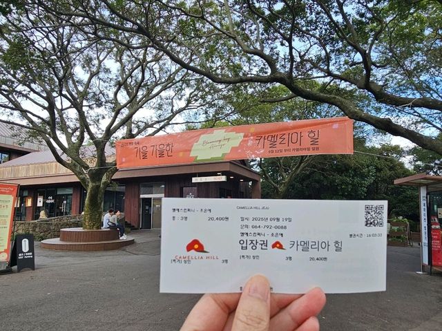제주3박4일 착한 가격에 알차게 보내는 방법