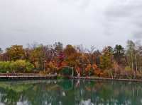 Mount Changbai: China's Sacred Peak Where Nature Writes Poetry 🏔️❄️