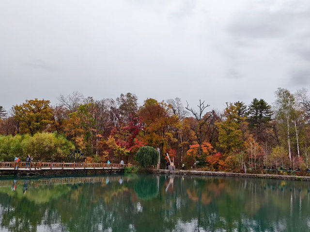 Mount Changbai: China's Sacred Peak Where Nature Writes Poetry 🏔️❄️