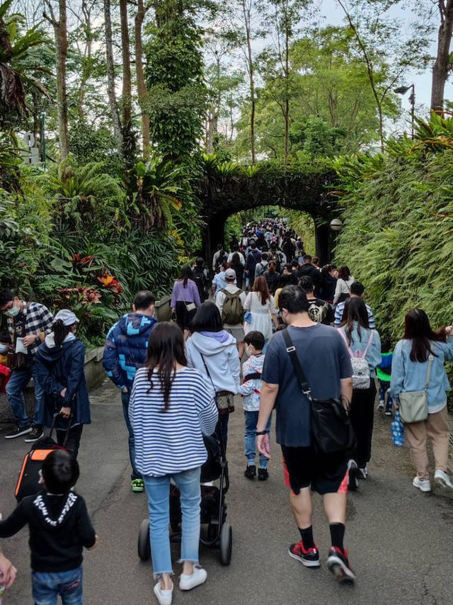 寓教於樂的親子天堂#臺北市立動物園-臺北市文山區