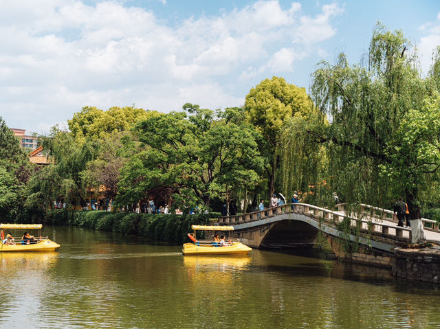 Green Lake Park (Cuihu Park, 翠湖公园) — The Heart of Kunming’s Serenity