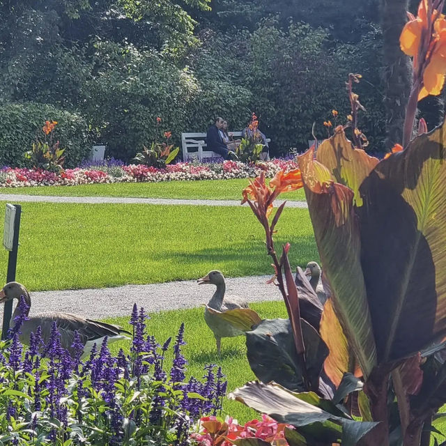 Schlosspark Nymphenburg