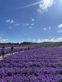 Best autumn escapes near Seoul-Nari Park in Yangju