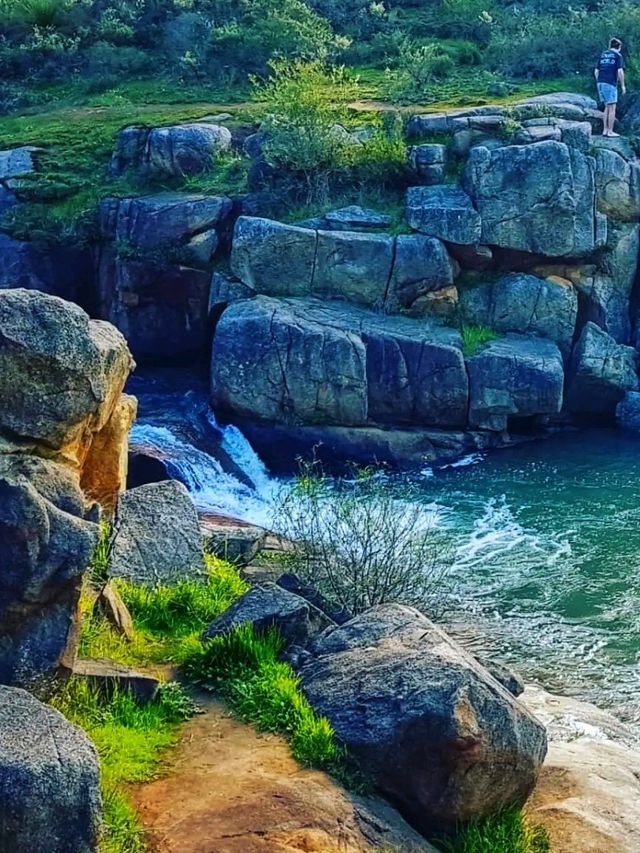 🌿 Gooseberry Hill National Park – Perth’s Hidden Gem on a Hill