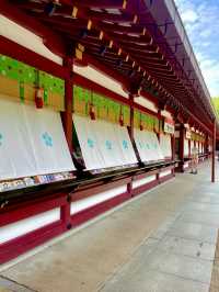 🌸 THE FLOWER BOX EXHIBITION IN DAZAIFU