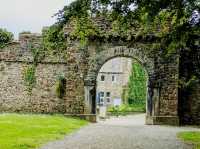 Bloom & Stillness: A Solo Escape to Picton Castle Gardens