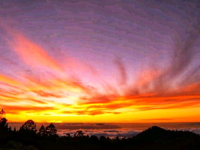 🌋 Teide National Park – The Majestic Heart of Tenerife