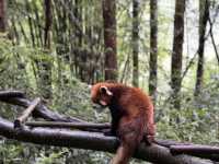 Side trip from Chengdu