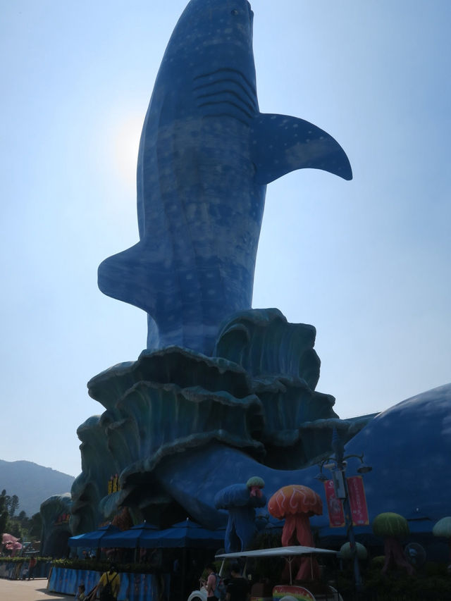 Chimelong Ocean Kingdom🐬