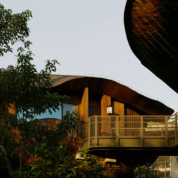 Whispers of the Wild Whispers of the Wild