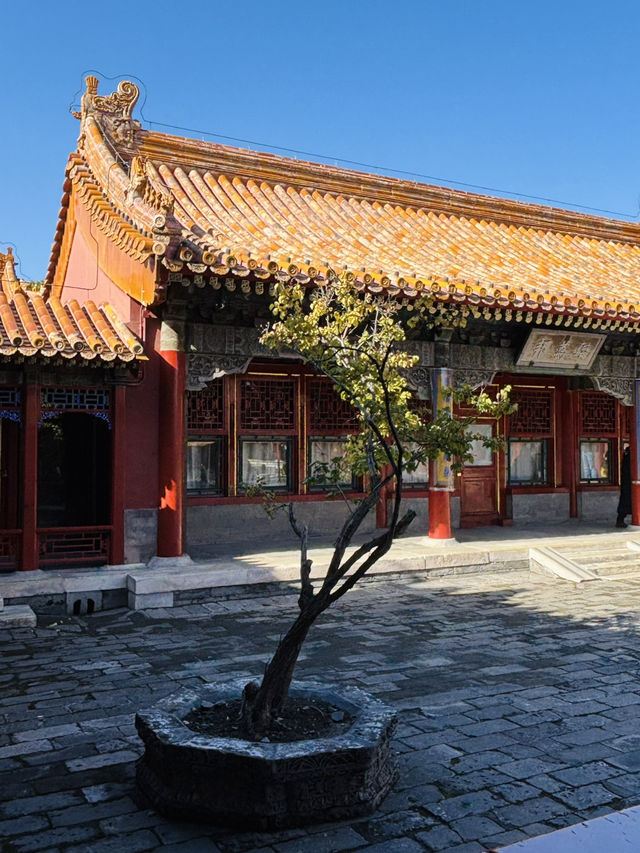 北京之旅:頤和園與故宮的歷史與靜美 北京之旅:頤和園與故宮的歷史與靜美