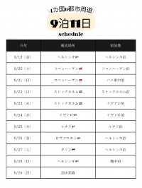 【北欧周遊🇫🇮🇩🇰🇸🇪🇪🇪】主な食事・食費 まとめ