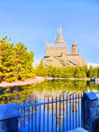 Childhood Dreams🏰