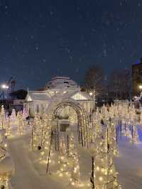 【北海道｜札幌近郊冬季限定】湯咖哩暖胃→雪中頭大佛＋復活島摩艾→白之戀人公園夜燈全亮，完美一天