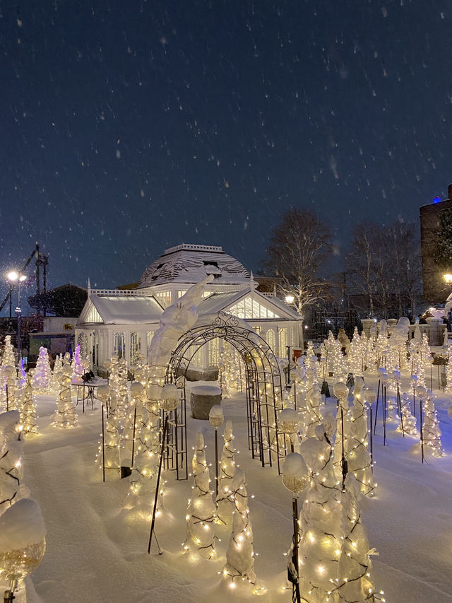 【北海道｜札幌近郊冬季限定】湯咖哩暖胃→雪中頭大佛＋復活島摩艾→白之戀人公園夜燈全亮，完美一天
