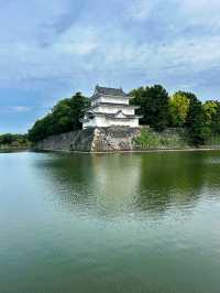 🇯🇵名古屋✈️江戶時代的輝煌與威嚴「名古屋城」