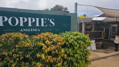 Botanic Dream🌸 Poppie's Cafe — traveler post in Anglesea
