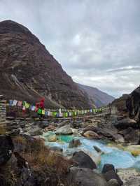 Where the Mountains Whisper: A Nilgiri Trekking Odyssey