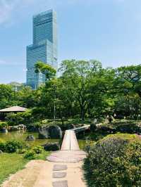 綠意水畔鳥影大阪漫遊🌳  